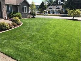 Hydroseeding Auburn WA