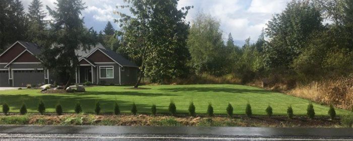 Hydroseeding Services Eatonville WA