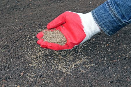 Hydroseeding Bonney Lake