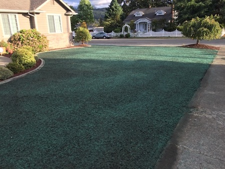 Hydroseeding Services Auburn Wa