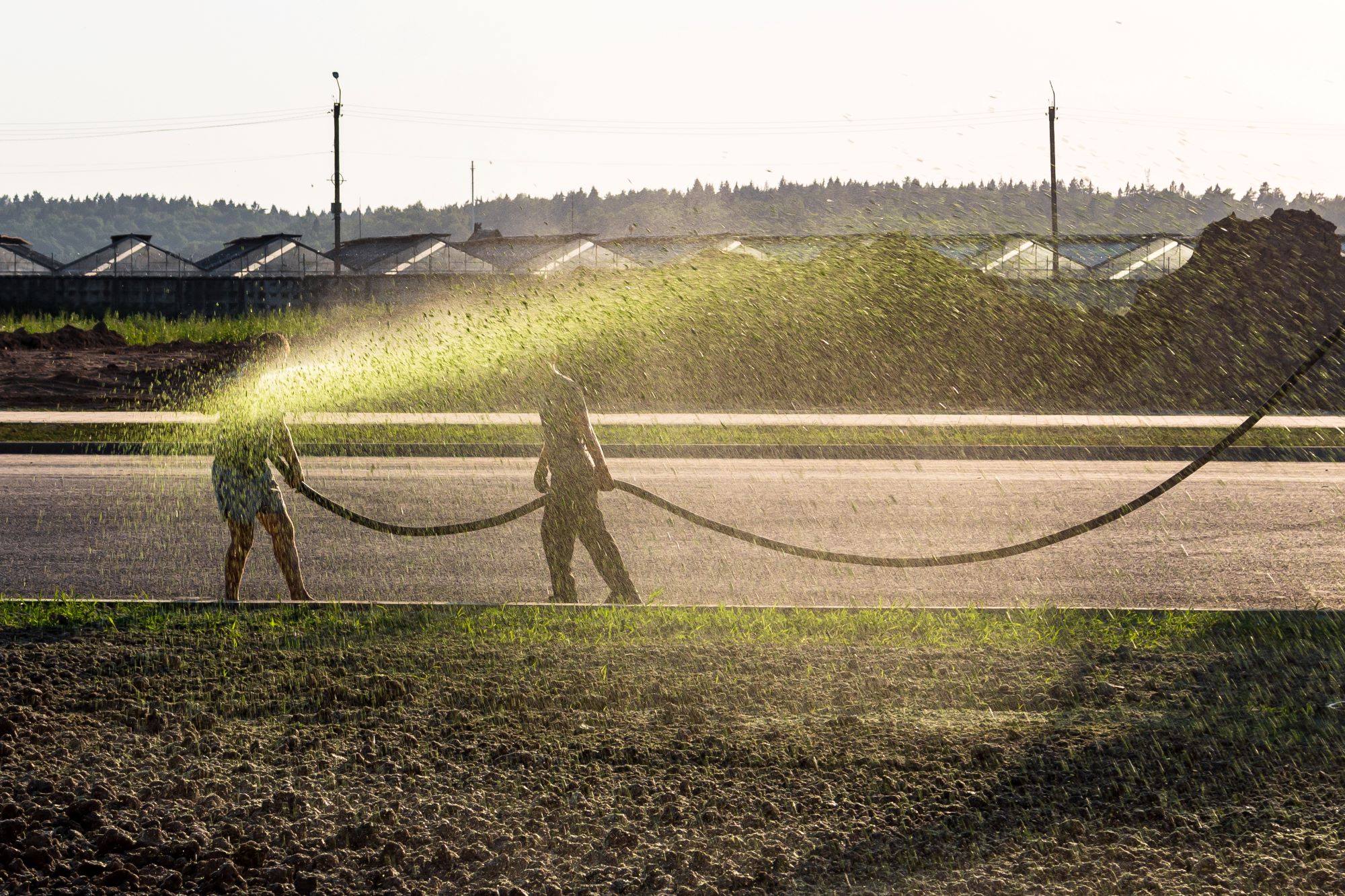 Hydroseeding Puyallup