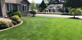 Hydroseeding Puyallup